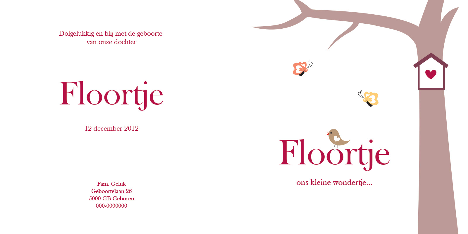 Geboortekaartje Floortje - Afbeelding 2