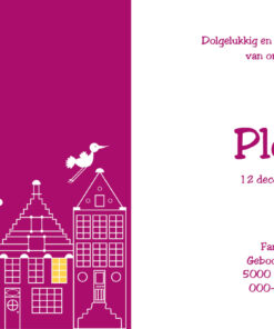 geboortekaartje Plona - geboortekaartjes – babykaartjes – geboorte kaartje – hippegeboortekaartjes