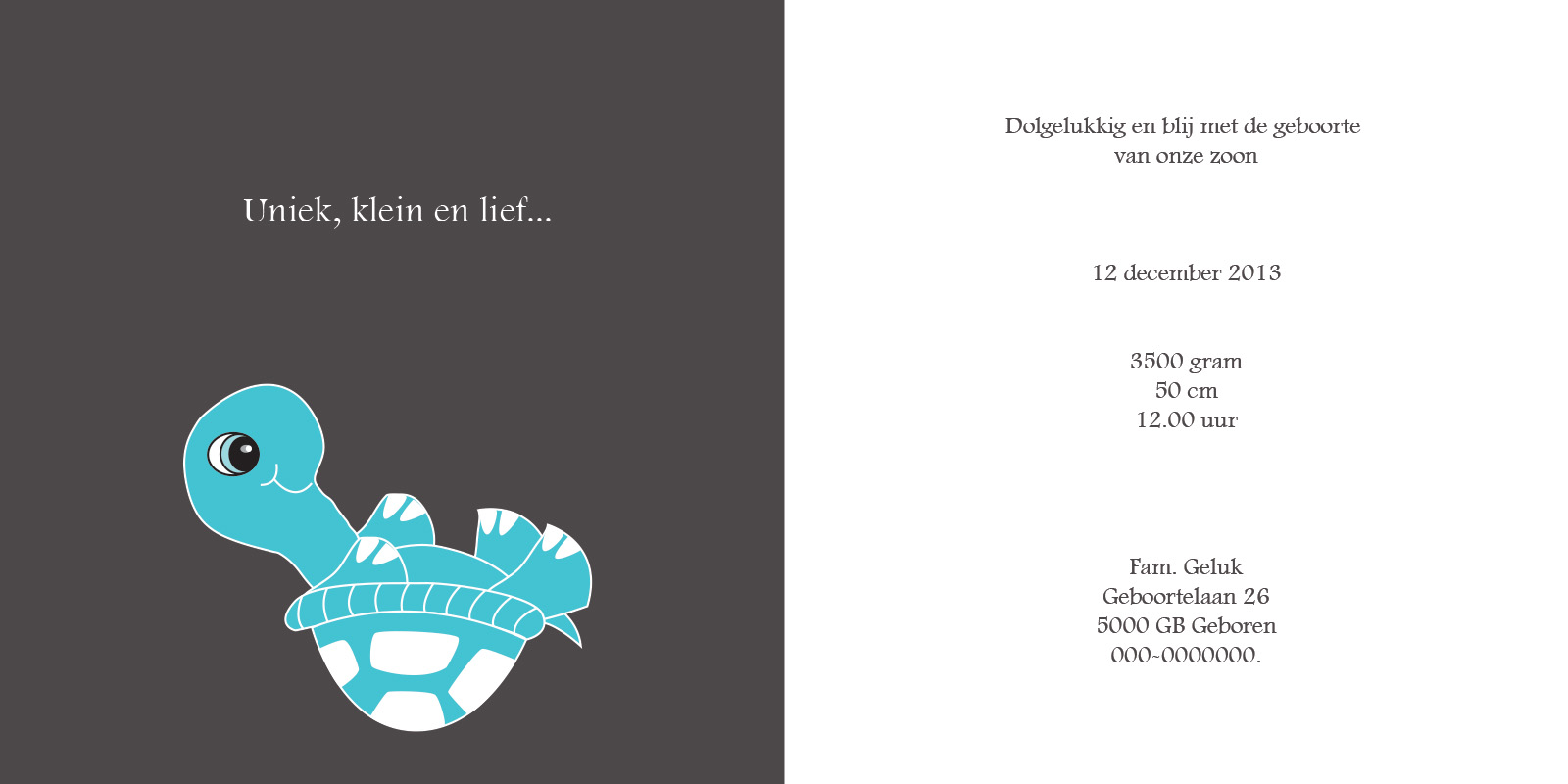 geboortekaartje Sven - geboortekaartjes – babykaartjes – geboorte kaartje – hippegeboortekaartjes
