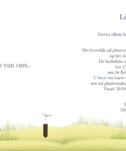 Trouwkaart 3 - trouwkaarten ontwerpen - huwelijksuitnodigingen - uitnodiging bruiloft - huwelijkskaart