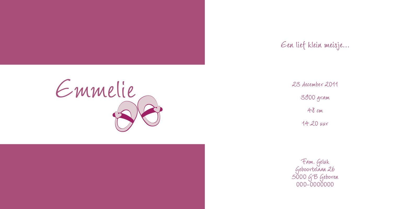 Geboortekaartje Emmelie - Afbeelding 2