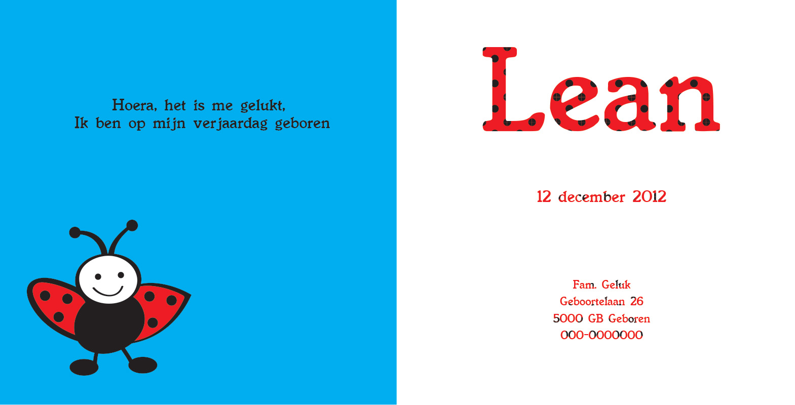 Geboortekaartje Lean - Afbeelding 2