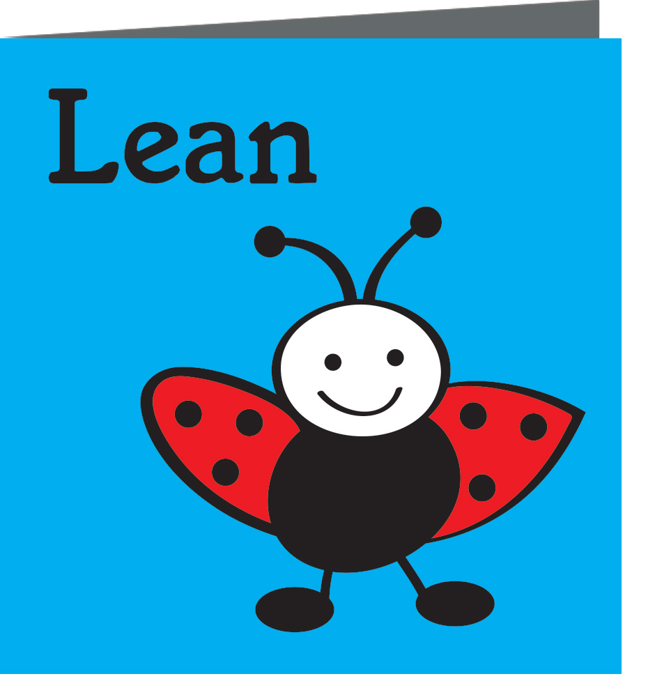 geboortekaartje Lean - geboortekaartjes – babykaartjes – geboortekaart– hippegeboortekaartjes