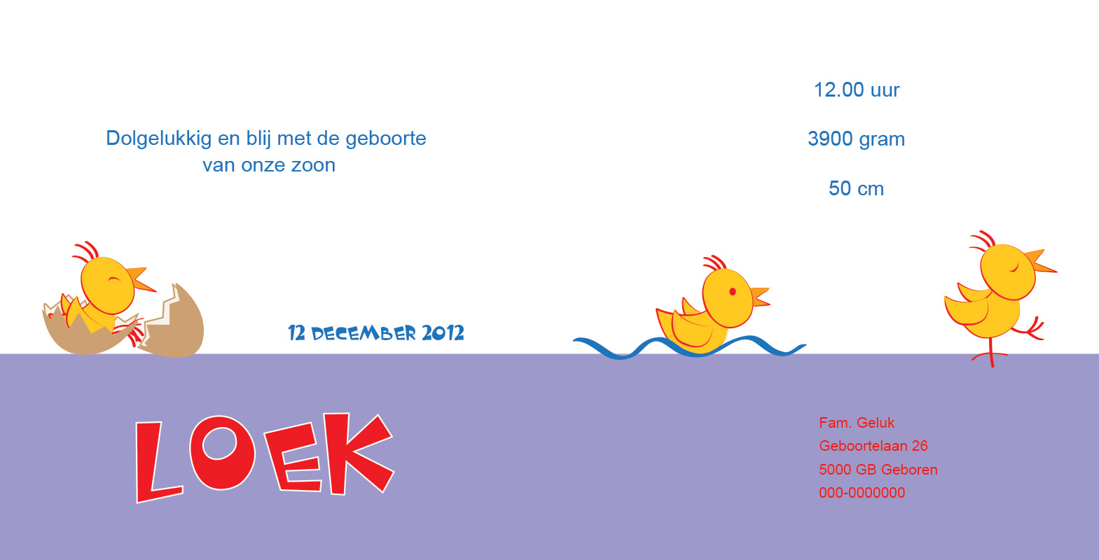 geboortekaartje Loek - geboortekaartjes – babykaartjes – geboortekaart– hippegeboortekaartjes