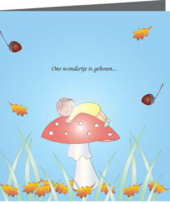 geboortekaartje Luca - geboortekaartjes – babykaartjes – geboortekaart– hippegeboortekaartjes