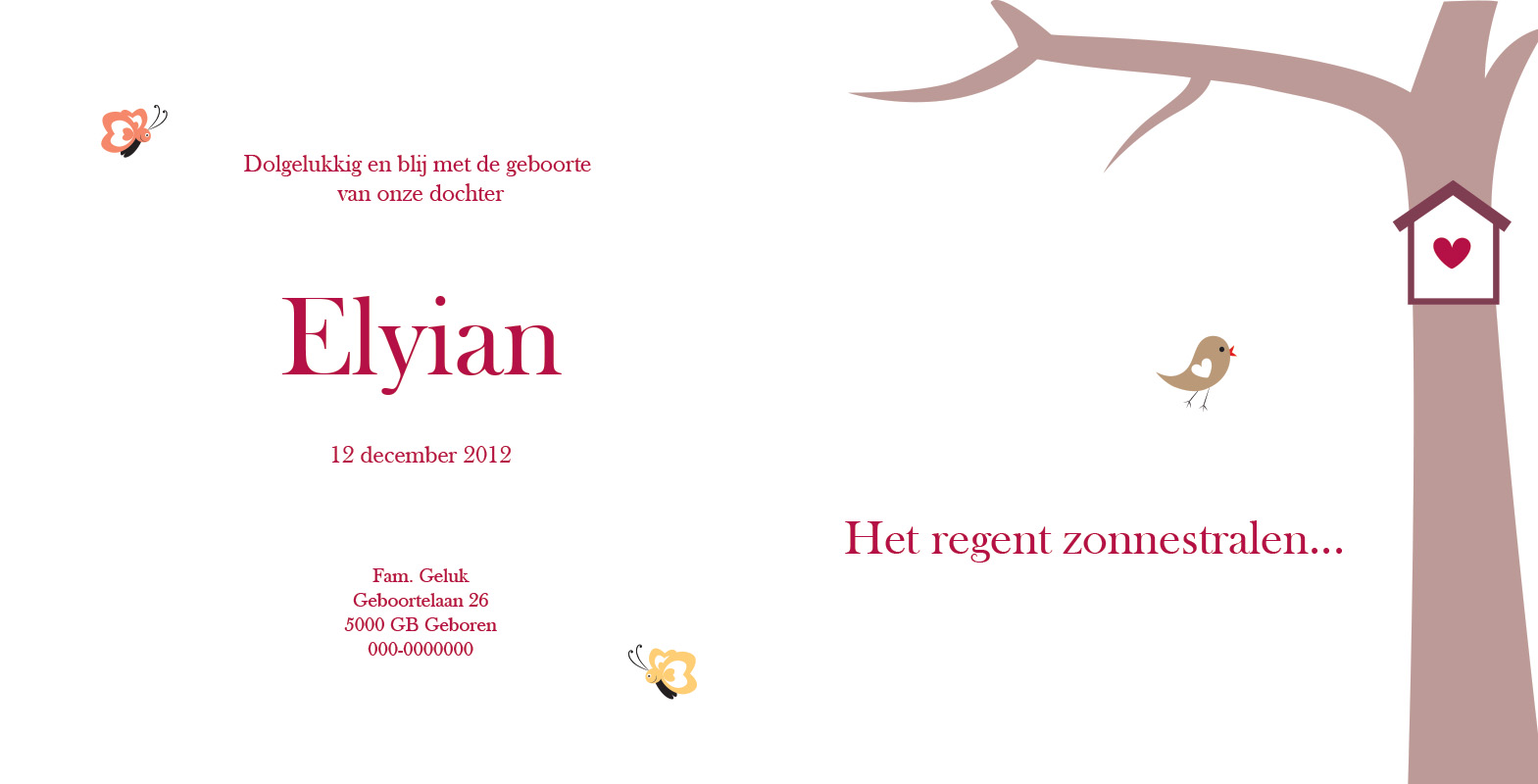 Geboortekaartje Elyian - geboortekaartjes – babykaartjes – geboortekaart– hippegeboortekaartjes