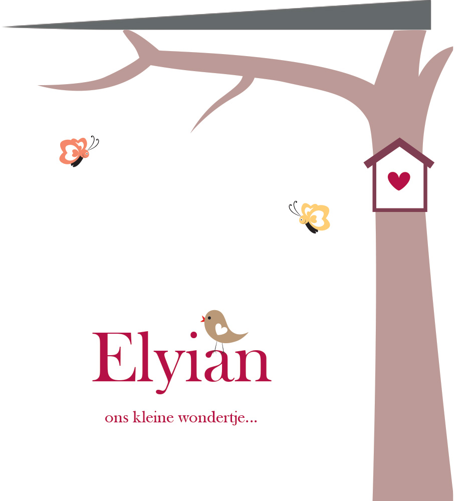 Geboortekaartje Elyian - geboortekaartjes – babykaartjes – geboortekaart– hippegeboortekaartjes