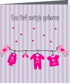 Geboortekaartje Noortje - geboortekaartjes – babykaartjes – geboortekaart– hippegeboortekaartjes