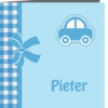 Geboortekaartje Pieter - geboortekaartjes – babykaartjes – geboortekaart– hippegeboortekaartjes
