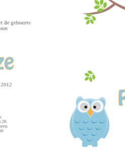 Geboortekaartje Rinze - geboortekaartjes – babykaartjes – geboortekaart– hippegeboortekaartjes