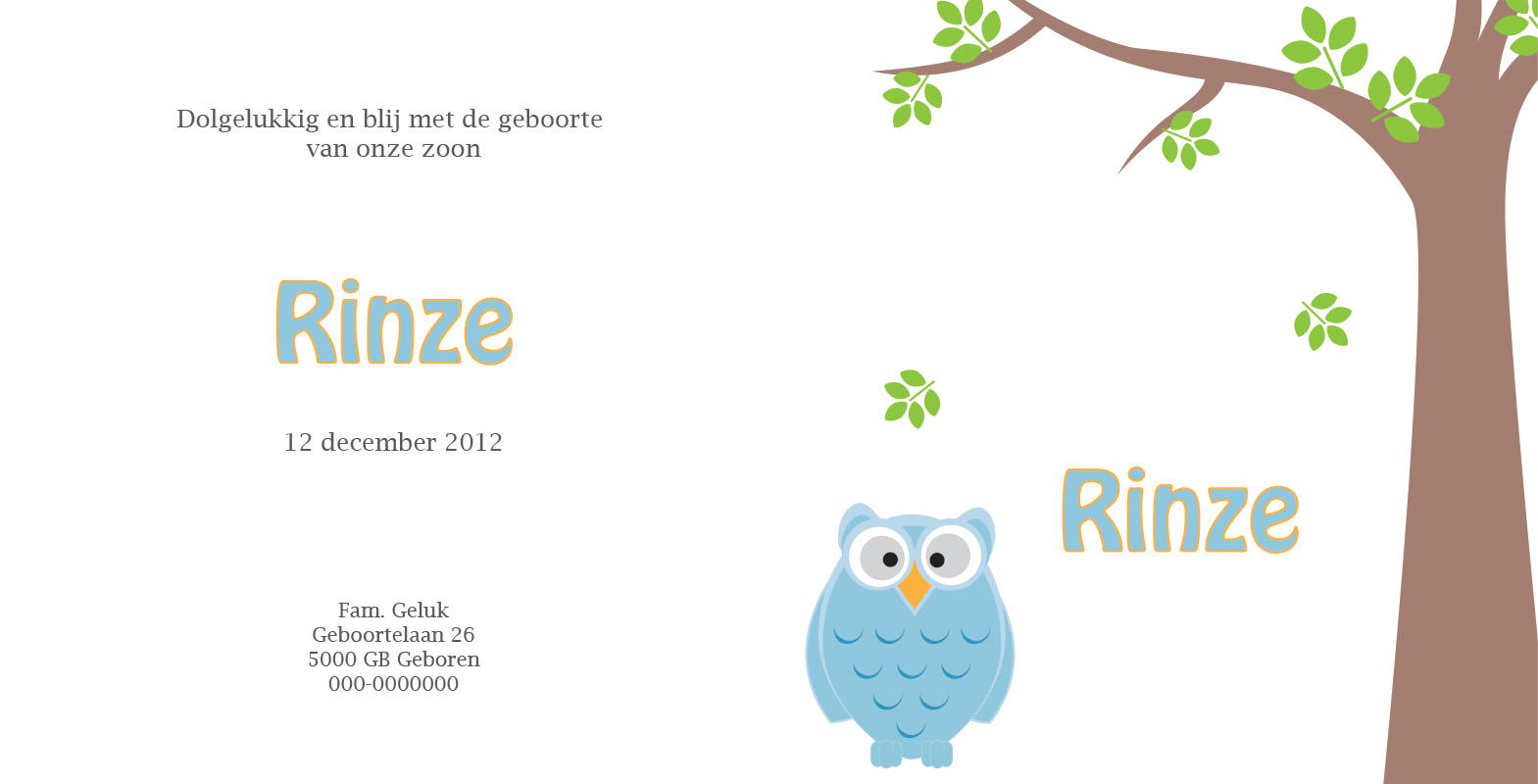 Geboortekaartje Rinze - geboortekaartjes – babykaartjes – geboortekaart– hippegeboortekaartjes