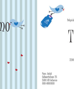 Alternative view of Geboortekaartje Timmo