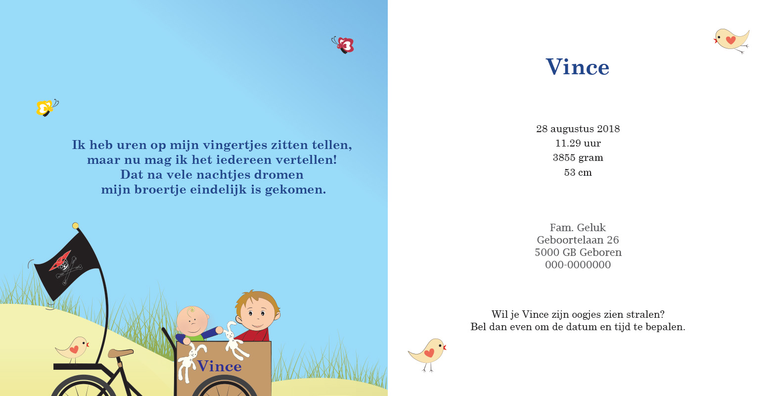 Geboortekaartje Vince - geboortekaartjes – babykaartjes – geboortekaart– hippegeboortekaartjes
