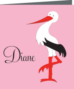 Geboortekaartje Diane - geboortekaartjes – babykaartjes – geboortekaart– hippegeboortekaartjes
