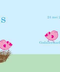 Geboortekaartje Gijs - geboortekaartjes – babykaartjes – geboortekaart– hippegeboortekaartjes