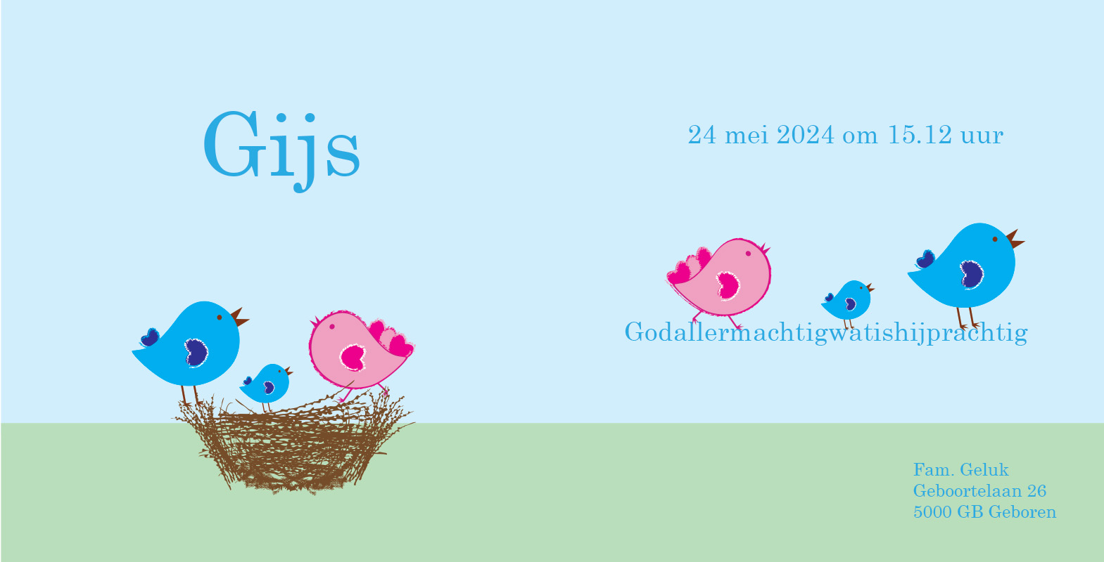 Geboortekaartje Gijs - geboortekaartjes – babykaartjes – geboortekaart– hippegeboortekaartjes