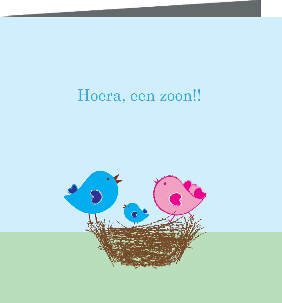 Geboortekaartje Gijs - geboortekaartjes – babykaartjes – geboortekaart– hippegeboortekaartjes