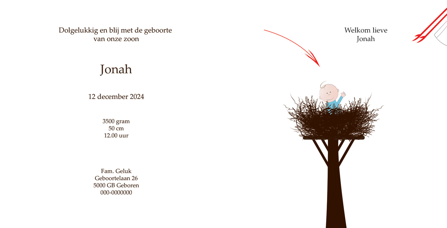 Geboortekaartje Jonah - geboortekaartjes – babykaartjes – geboortekaart– hippegeboortekaartjes