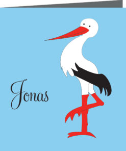 Geboortekaartje Jonas - geboortekaartjes – babykaartjes – geboortekaart– hippegeboortekaartjes
