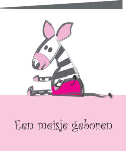 Geboortekaartje Renske - geboortekaartjes – babykaartjes – geboortekaart– hippegeboortekaartjes