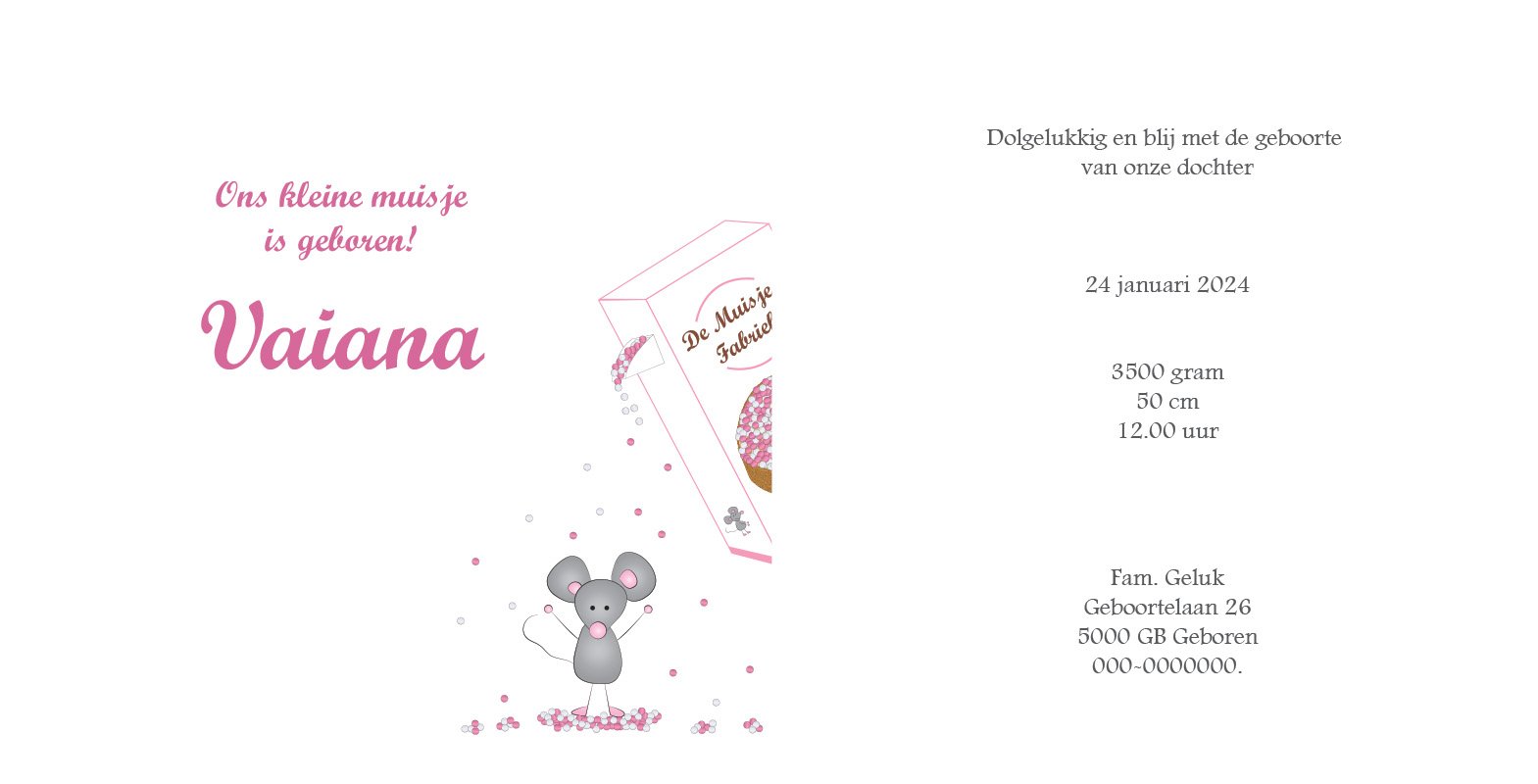 Geboortekaartje Vaiana - geboortekaartjes – babykaartjes – geboortekaart– hippegeboortekaartjes