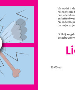 Alternative view of Geboortekaartje Lieveke