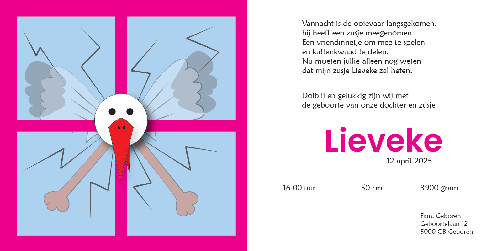 Geboortekaartje Lieveke - Afbeelding 2