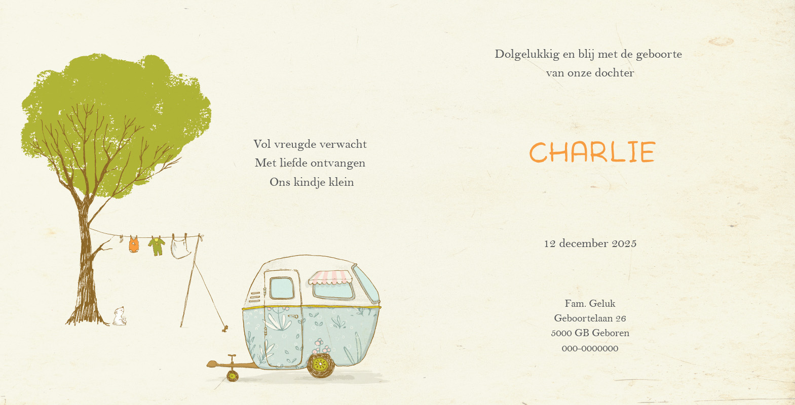 Geboortekaartje Charlie - Afbeelding 2