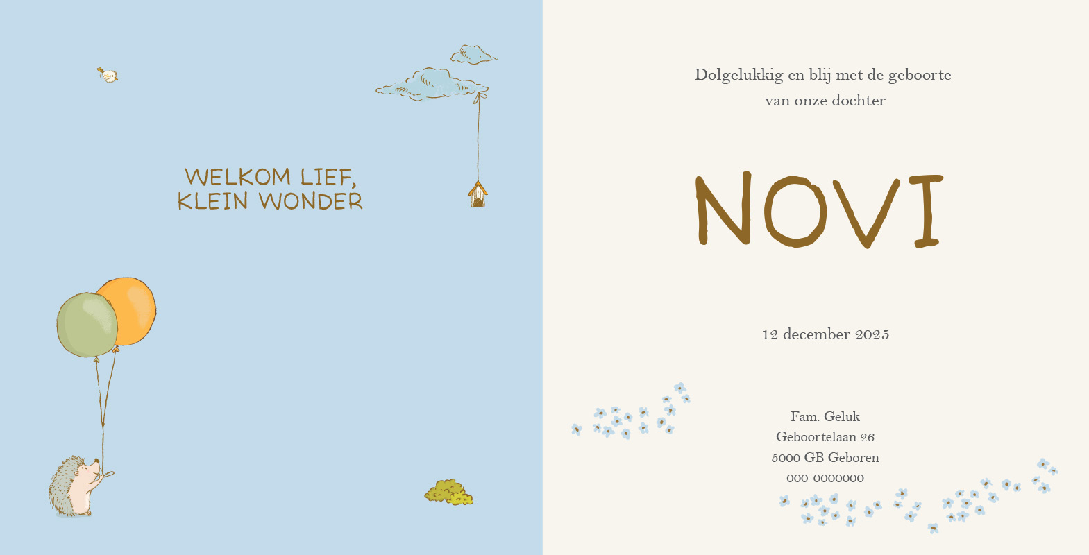 Geboortekaartje Novi - Afbeelding 2