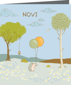 Geboortekaartje Novi - geboortekaartjes – babykaartjes – geboortekaart– hippegeboortekaartjes
