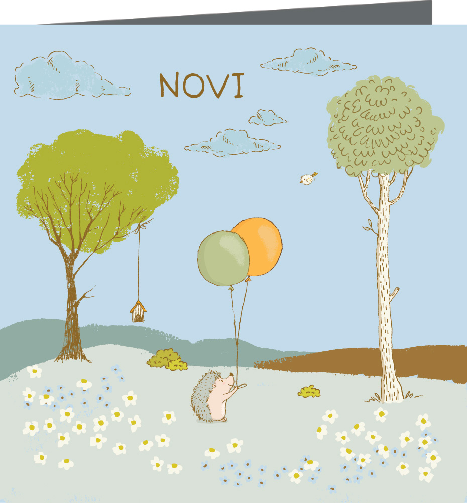 Geboortekaartje Novi - geboortekaartjes – babykaartjes – geboortekaart– hippegeboortekaartjes