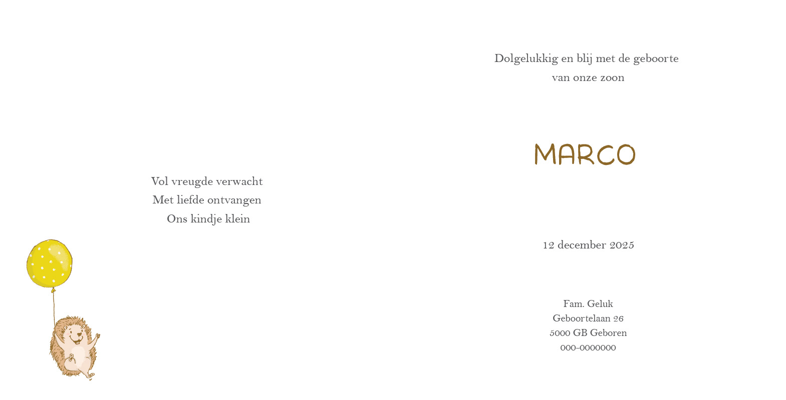 Geboortekaartje Marco - Afbeelding 2