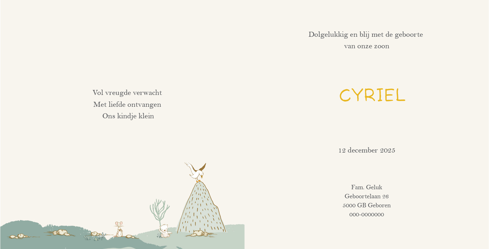 Geboortekaartje Cyriel - geboortekaartjes – babykaartjes – geboortekaart– hippegeboortekaartjes