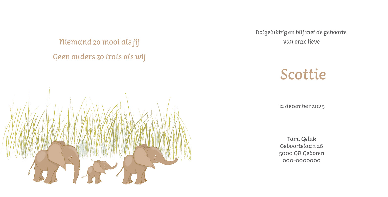 Geboortekaartje Scottie - Afbeelding 2
