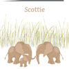 Geboortekaartje Scottie - geboortekaartjes – babykaartjes – geboortekaart– hippegeboortekaartjes