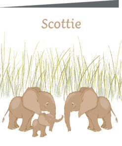 Geboortekaartje Scottie - geboortekaartjes – babykaartjes – geboortekaart– hippegeboortekaartjes