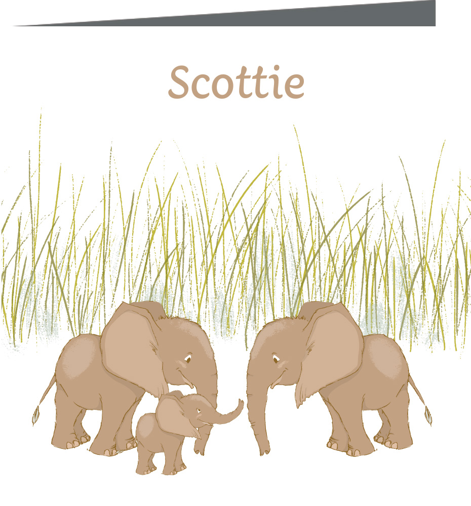 Geboortekaartje Scottie - geboortekaartjes – babykaartjes – geboortekaart– hippegeboortekaartjes