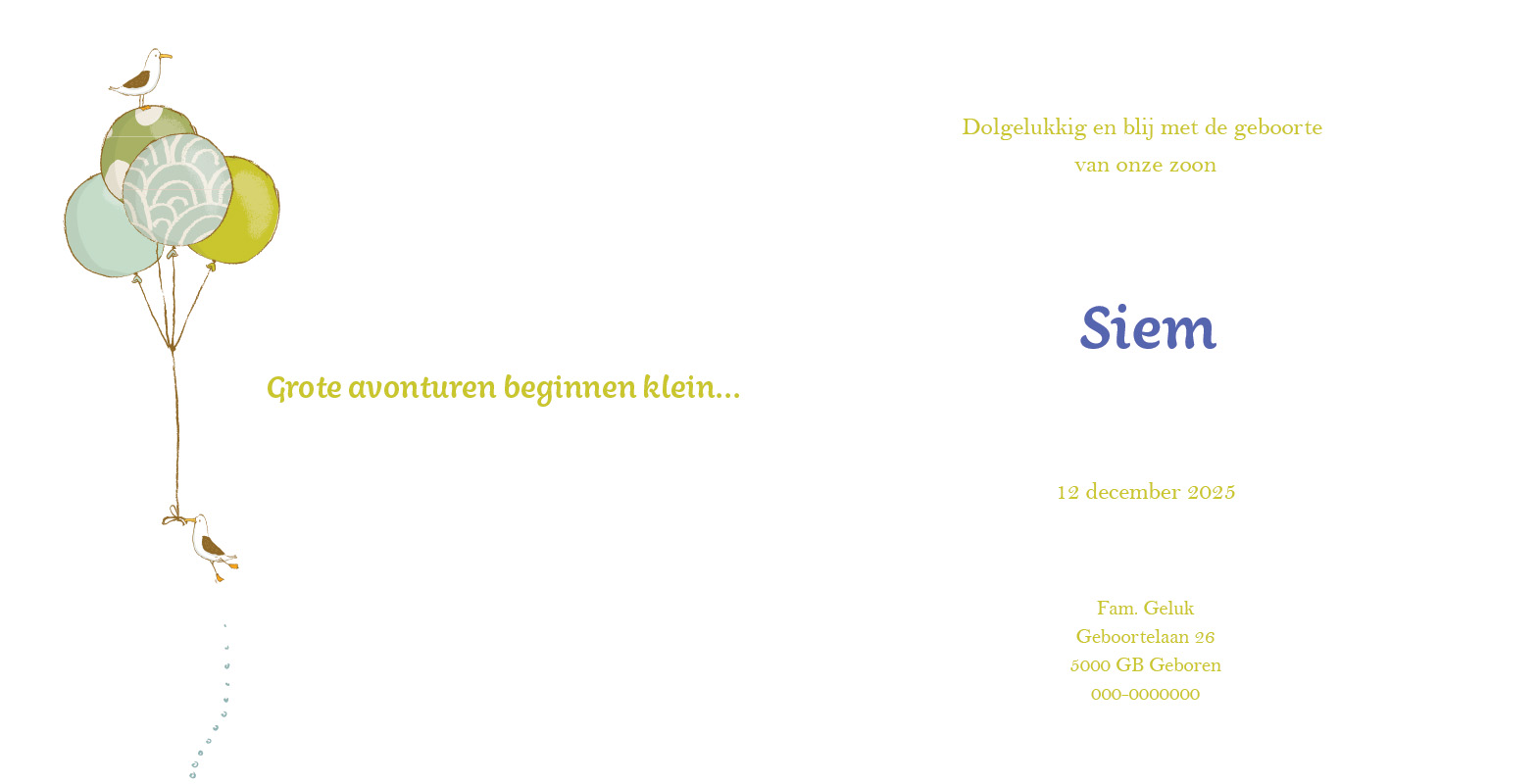 Geboortekaartje Siem - Afbeelding 2
