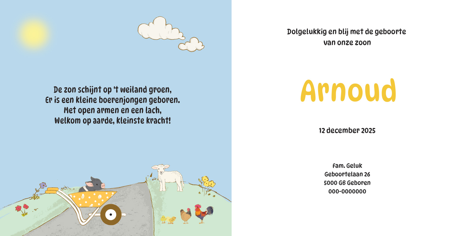 Geboortekaartje Arnoud - Afbeelding 2