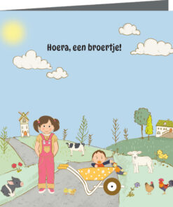 Geboortekaartje Harm – geboortekaartjes broertje – babykaartjes – geboortekaart– hippegeboortekaartjes